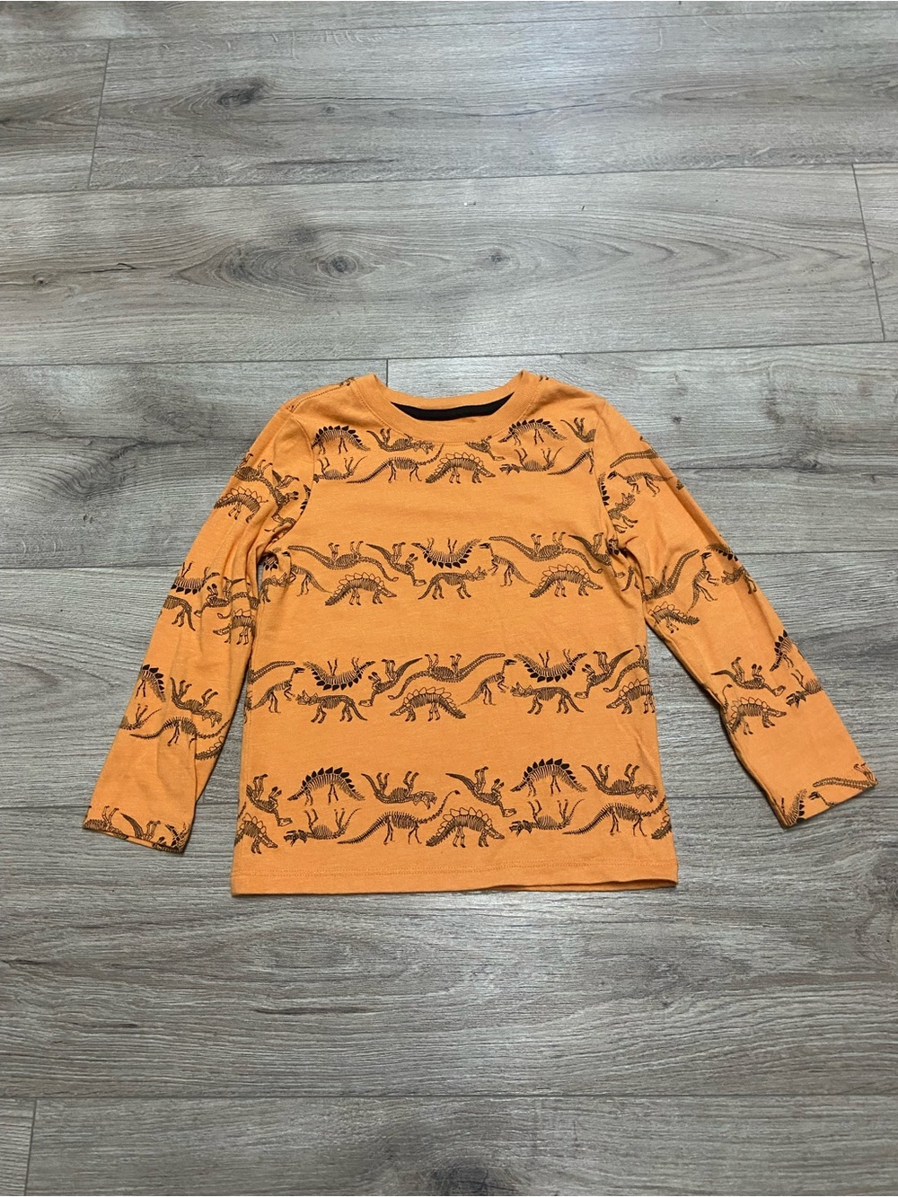 Cat & Jack Orange Dinosaur Long Sleeve Tee